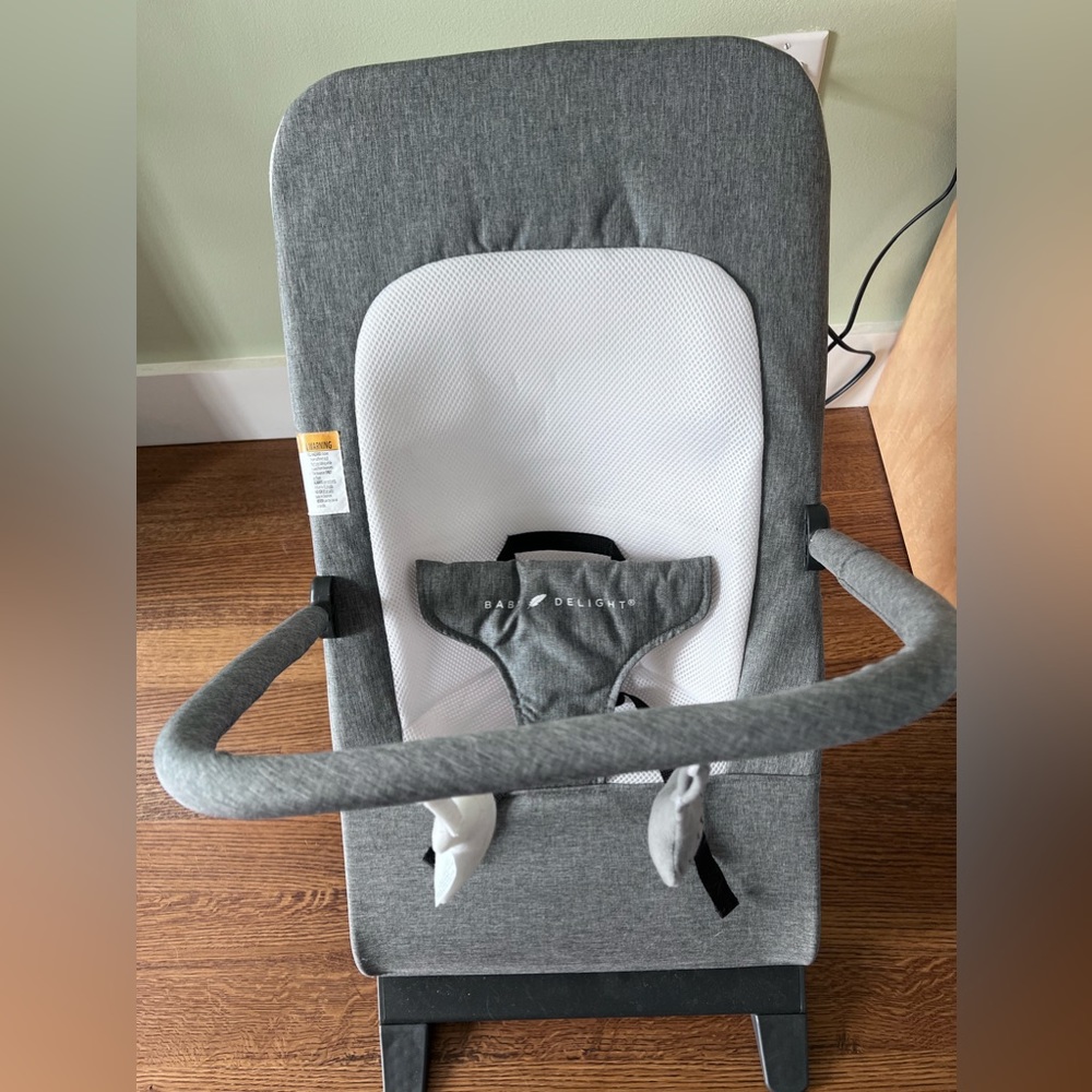 Gray Baby Delight Bouncer